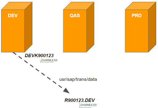 Conceptual Weaknesses in SAP Transport Management System Example 1