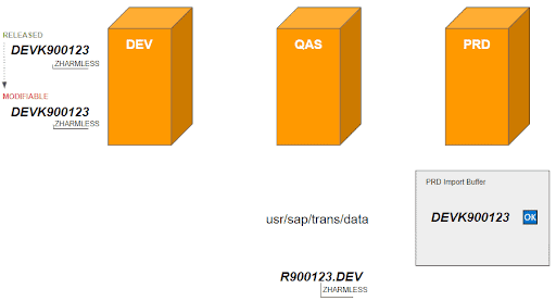 Conceptual Weaknesses in SAP Transport Management System Example 4